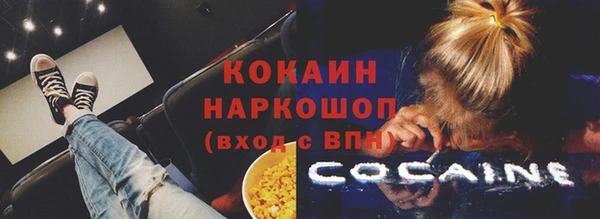 винт Бикин