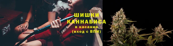 ГАЛЛЮЦИНОГЕННЫЕ ГРИБЫ Нефтегорск