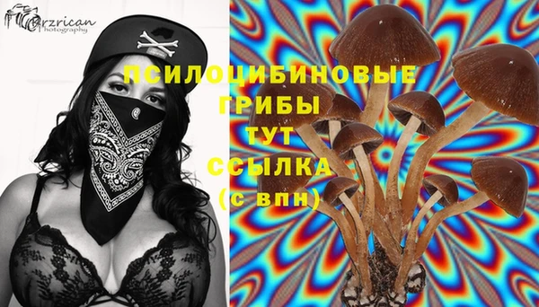 герыч Нефтекумск