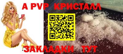 амф Гусев