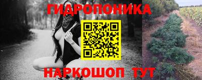 амф Гусев