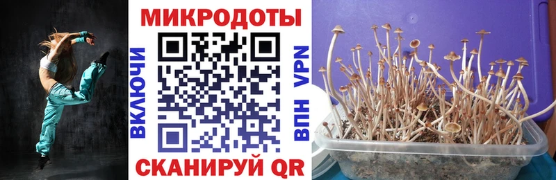mega онион Усолье-Сибирское Псилоцибиновые грибы Cubensis