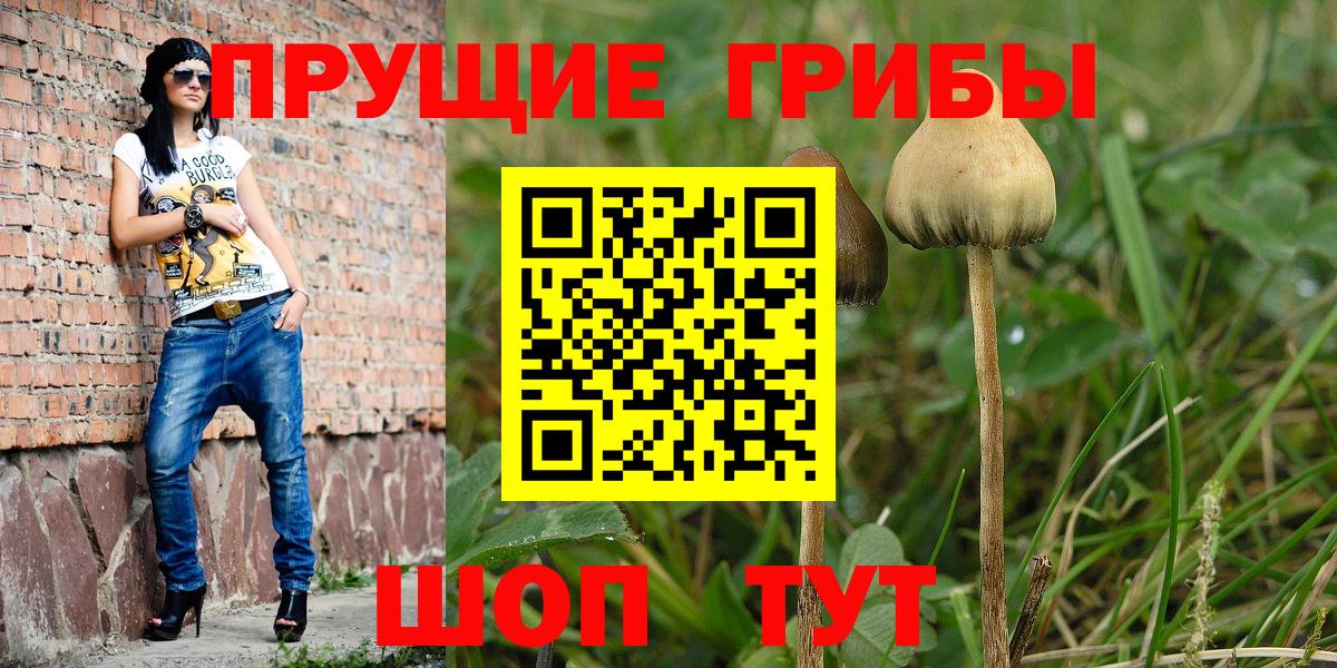продажа наркотиков  Вход с VPN  Усолье-Сибирское  Псилоцибиновые грибы Cubensis 