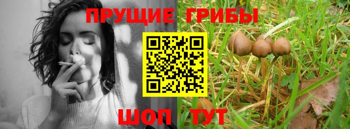 Галлюциногенные грибы прущие грибы  Усолье-Сибирское 